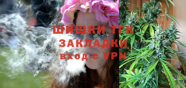mix Ельня