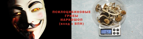 стафф Елабуга