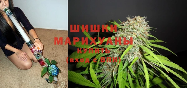 стафф Елабуга